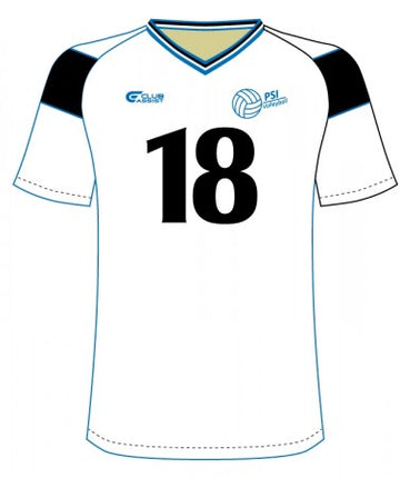 Collection image for: PSI Volleyball