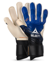 Blue/White / 7