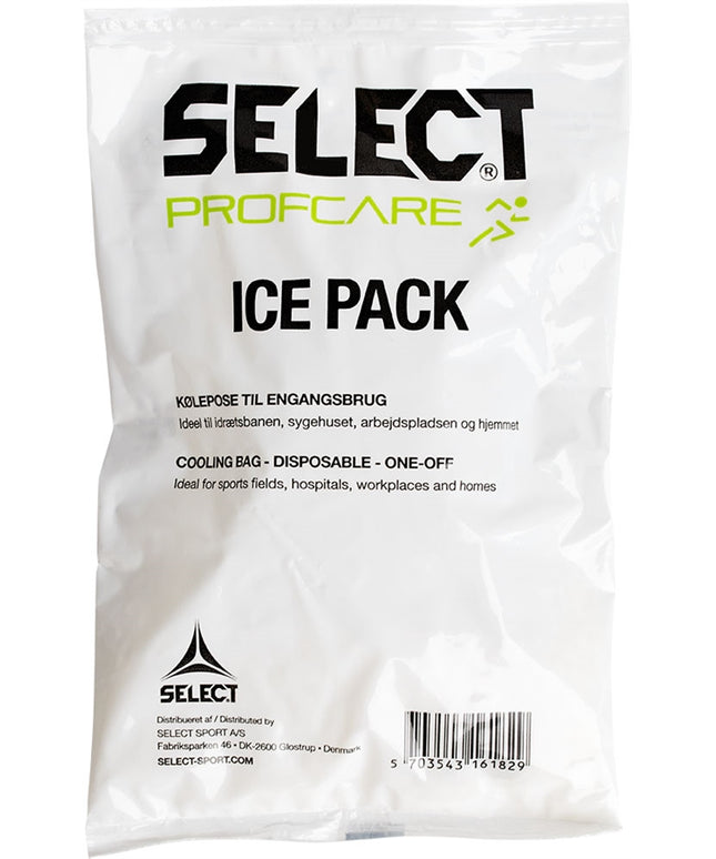Ice pack